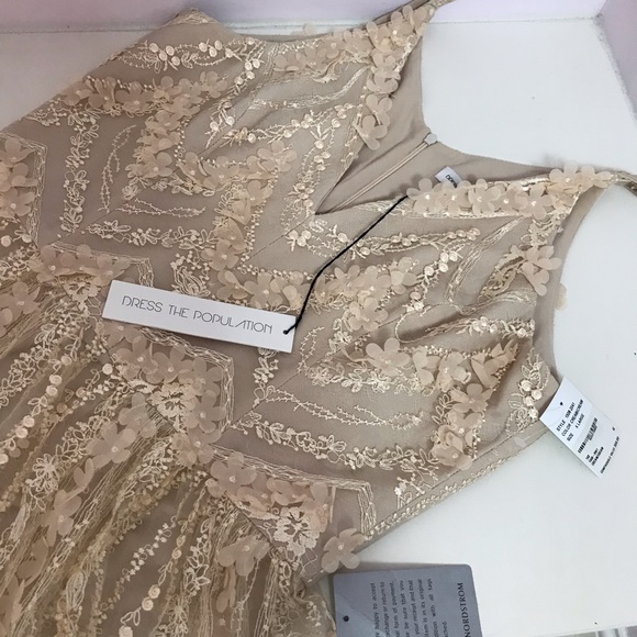 Dress the Population Chelsea Lace A-Line Gown - Picture 4 of 8